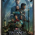 Чёрная Пантера: Ваканда навсегда (Black Panther: Wakanda Forever)